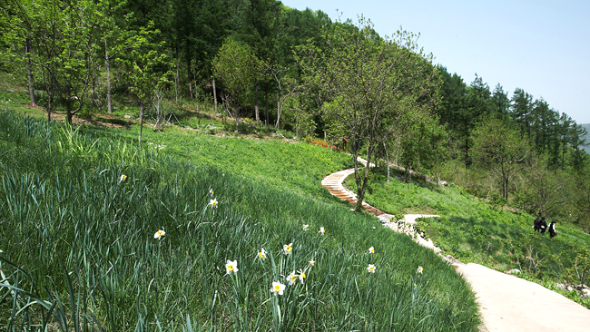 野花の丘