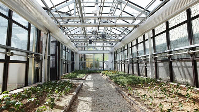 Cultivated Greenhouse